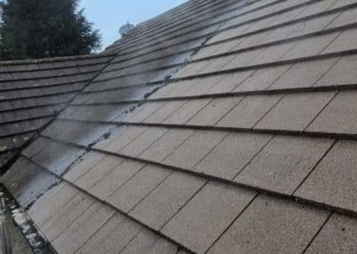 Roof clean